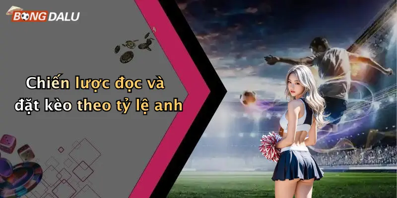 Chiến lược đọc và đặt kèo theo tỷ lệ anh