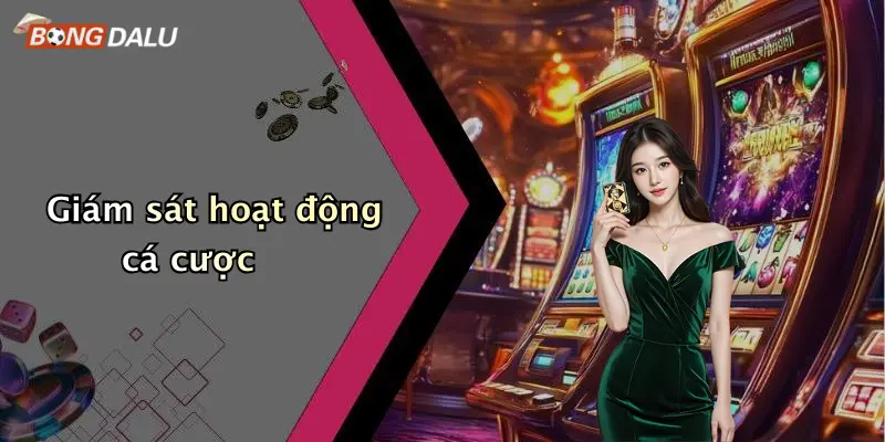 Giám sát hoạt động cá cược