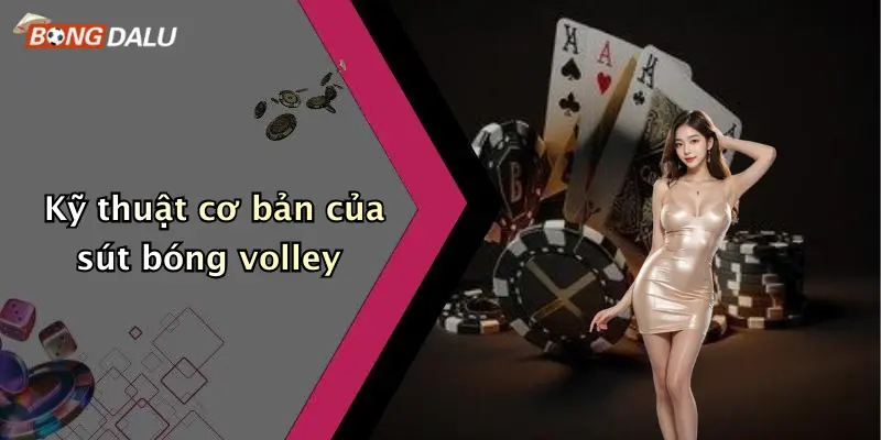 Kỹ thuật cơ bản của sút bóng volley